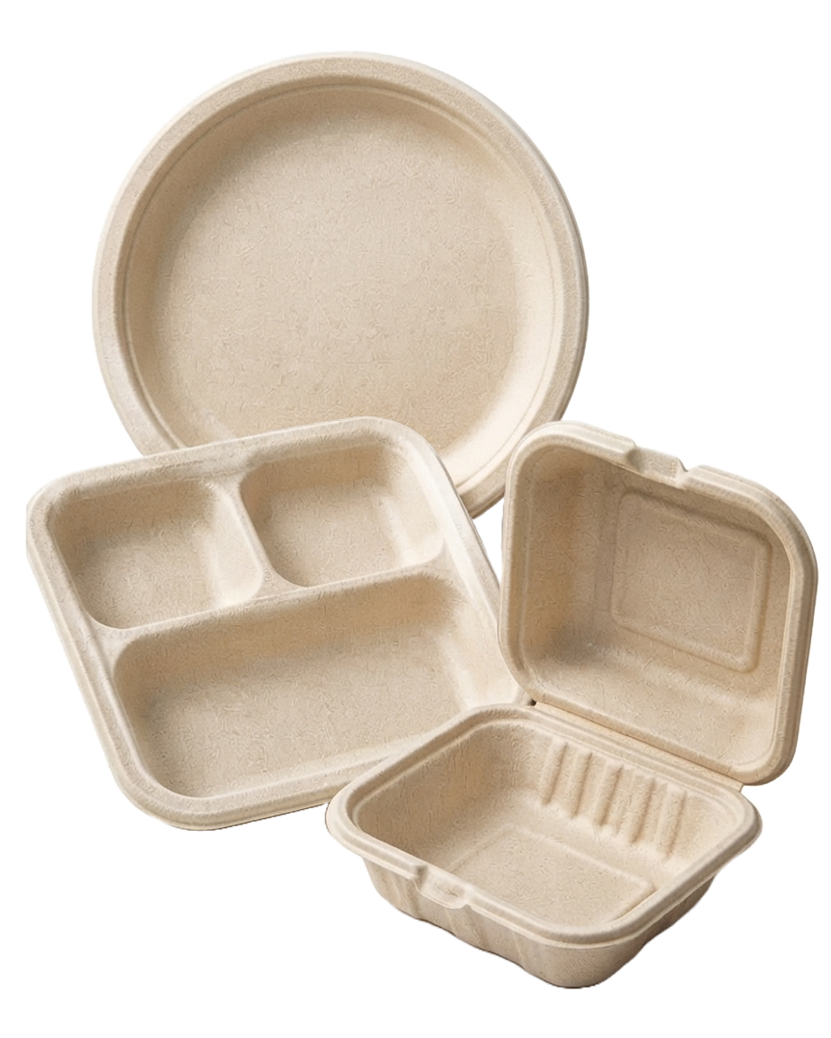 Sugarcane Bagasse